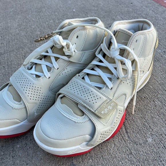 Nike Air Jordan Zion 2 “fossil “ do8990-217 men’s leather great graphics all - Picture 6 of 9